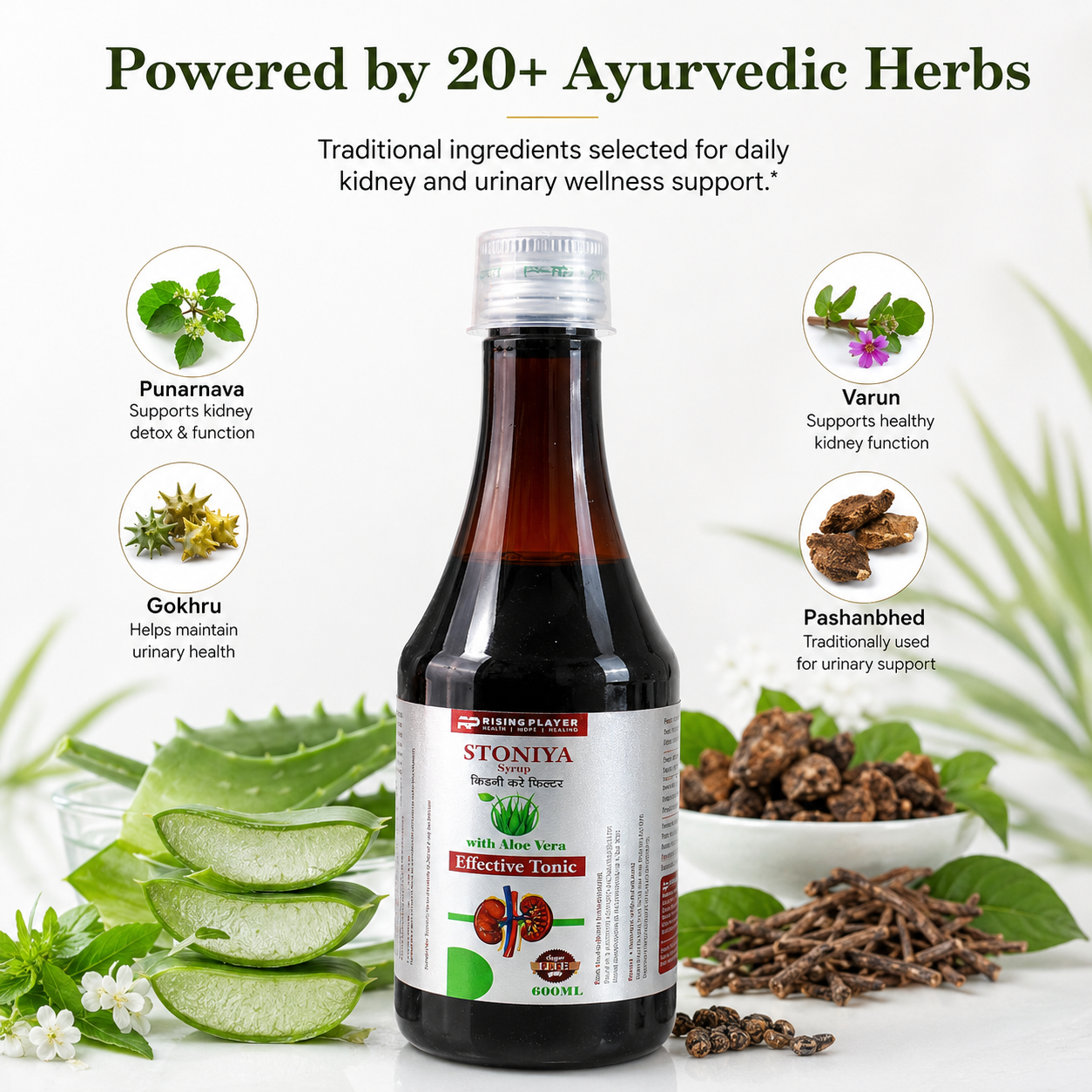 STONIYA Kidney & Urinary Wellness Syrup | 600ML | Ayurvedic Effective Tonic